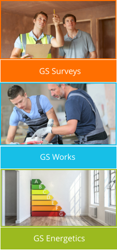 .  GS Surveys  GS Works GS Energetics