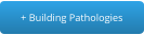 + Building Pathologies
