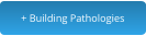 + Building Pathologies