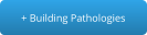 + Building Pathologies