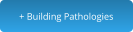 + Building Pathologies