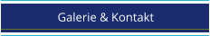 Galerie & Kontakt
