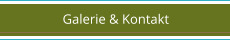 Galerie & Kontakt