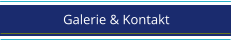 Galerie & Kontakt